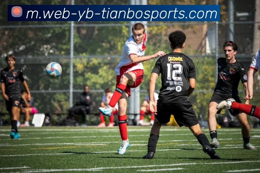 天博体育平台生态图